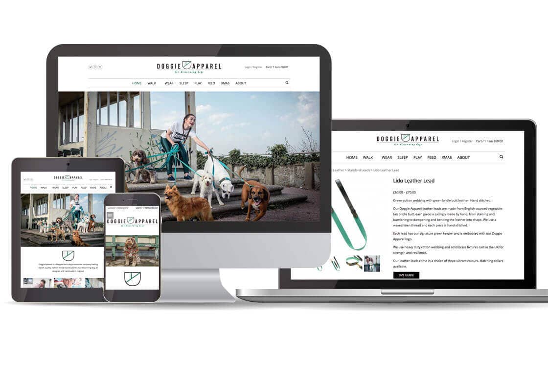Responsive ecommerce website design